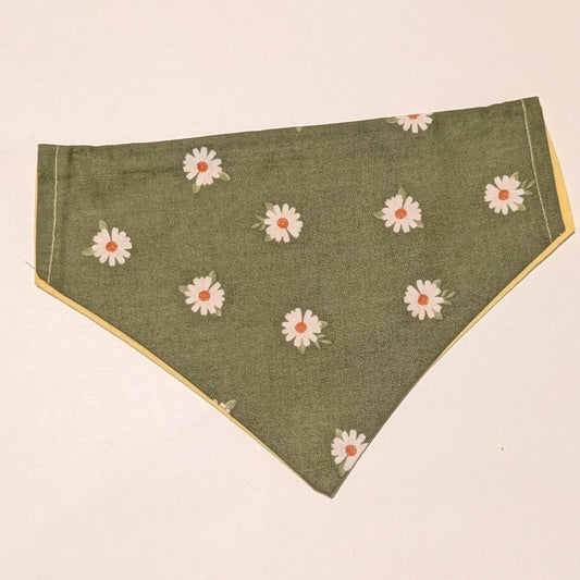 Green Daisies